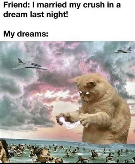 The best Dreaming memes :) Memedroid