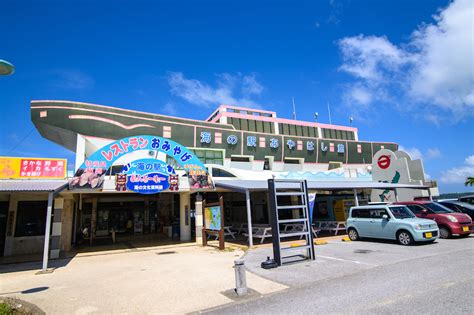 【沖縄・海中道路】船に乗らずに行けちゃう絶景離島めぐり！ 島々を結ぶシーサイドドライブに出発！｜るるぶandmore