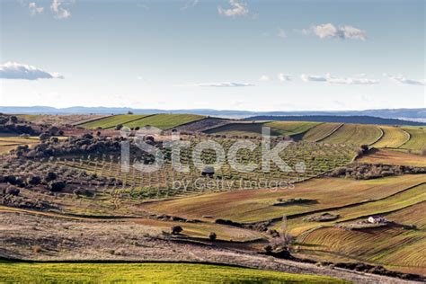 Landscape In The Extremadura Stock Photo | Royalty-Free | FreeImages