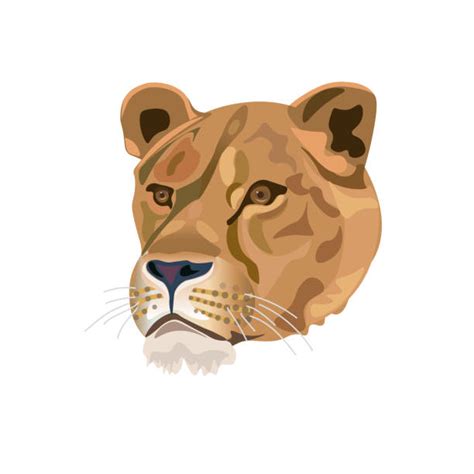 Female Lion Face Illustrations Royalty Free Vector Graphics And Clip Art