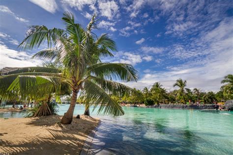 Images Gratuites Plage Mer Arbre Eau La Nature Le Sable Oc An