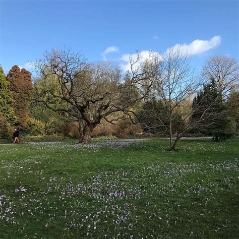 Such a beautiful day in Bath today. A little trip to Bath botanical ...