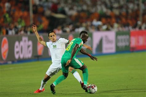 Can 2019 L`algérie Remporte La Finale Face Au Sénégal Alome Photos