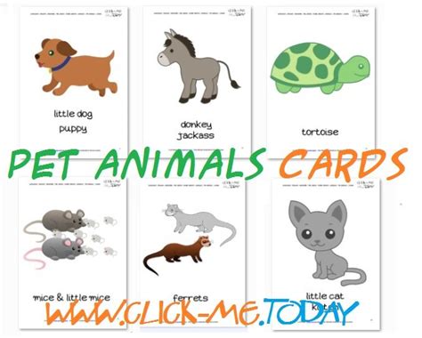 Free Printable Pet Animals Flashcards - Pet Animals cards | Animal ...