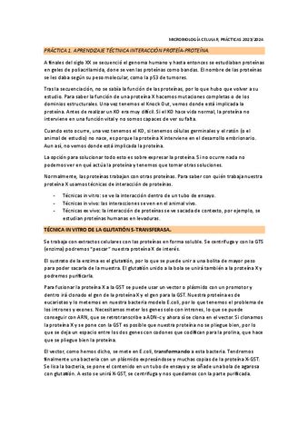 Practicas Completas Microbiologia Celular Pdf