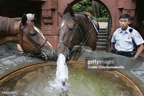 Us Park Police Horse Mounted Unit Photos and Premium High Res Pictures ...