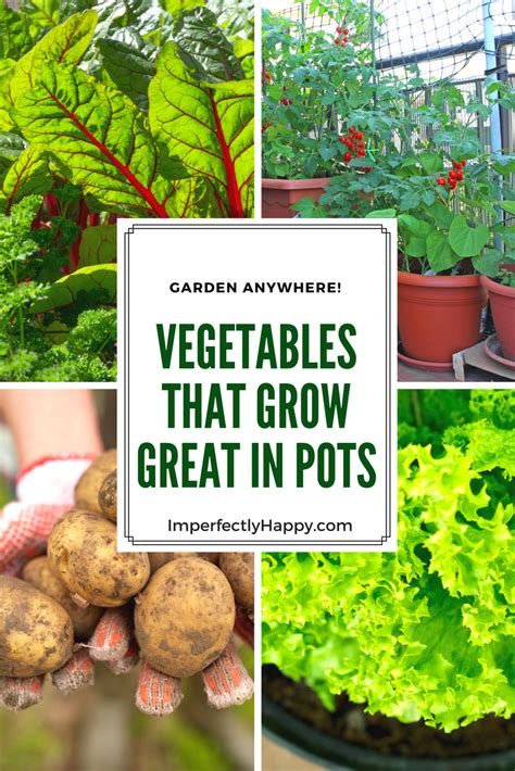 Vegetables In Pots The Best Veggies To Grow In Containers Artofit