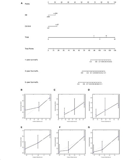 A The Nomogram For Predicting 1 3 And 5 Year Survival Download Scientific Diagram