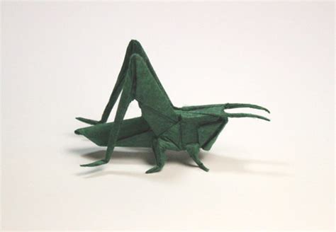 Life Size Origami Cricket Created And Folded By Redpaper Flickr