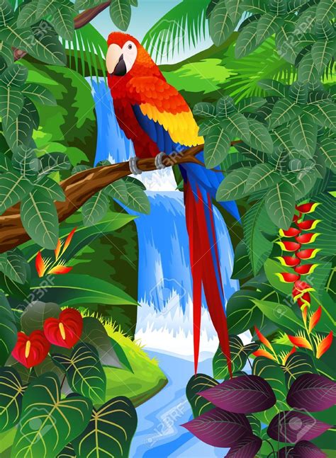 Selva Tropical Illustrations Google Search Bird Illustration