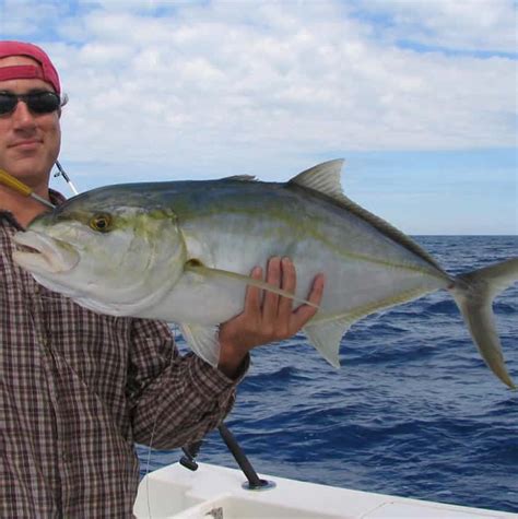 Pompano, Permit, Amberjack, Crevelle, Yellow Jack | Key West Fishing