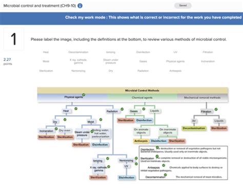 Microbio Lecture Ch 9 10 Flashcards Quizlet