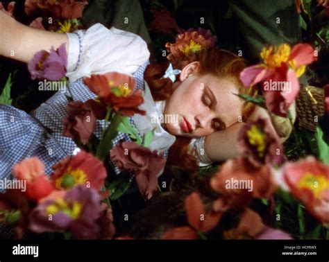 The Wizard Of Oz Judy Garland Stock Photo Alamy