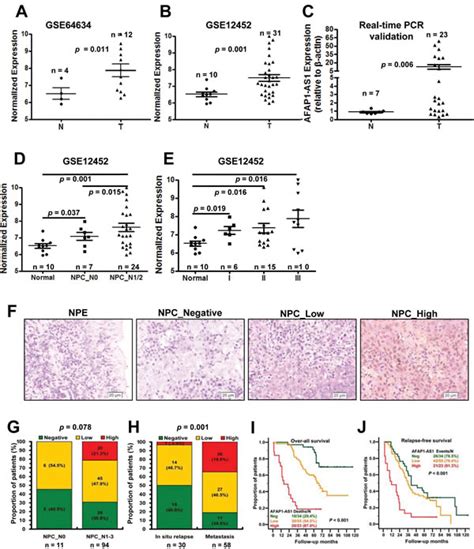 Upregulated Long Non Coding Rna Afap1 As1 Expression Is Associated With