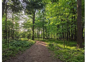 3 Best Hiking Trails in Guelph, ON - Expert Recommendations