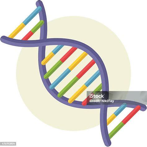 Dna Dna에 대한 스톡 벡터 아트 및 기타 이미지 Dna 나선 모양 2015년 Istock