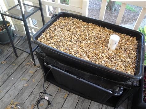 Small DIY Aquaponics System : 7 Steps (with Pictures) - Instructables