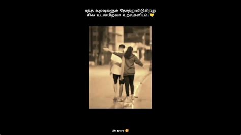 Akka Thambi Pasam Whatsapp Status Full Screen 😍 Unblood Relationship 😻