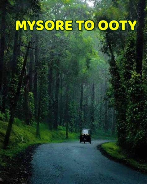 Mysore to Ooty Tour Packages - OTC