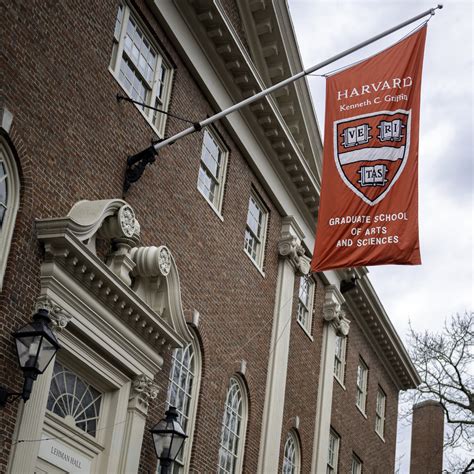 Ong Ligada A Harvard Abre Vagas Em Curso Gratuito Para Jovens