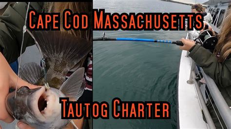 Tautog Fishing In Cape Cod Youtube