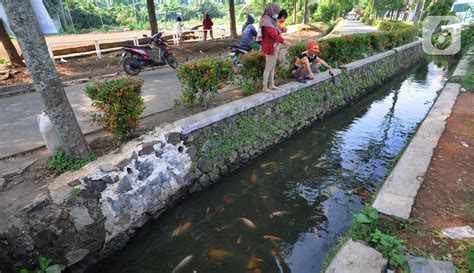 FOTO Warga Perumahan Puri Pamulang Sulap Selokan Kumuh Jadi Kolam Ikan