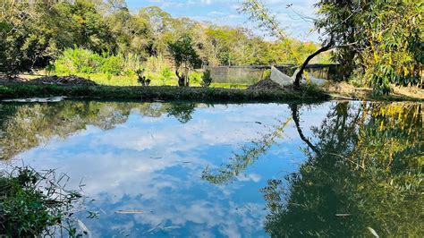 Sítio a venda nascente casa pomar lago 800 mil chicoabelha