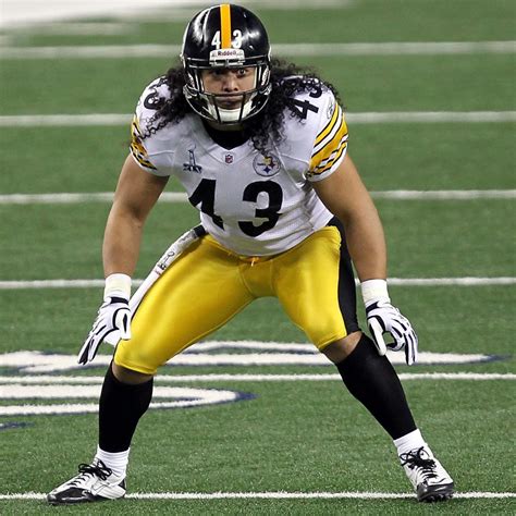 Troy Polamalu Injury: Updates on Steelers Star's Knee and Return | News ...