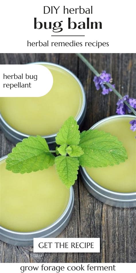 Diy Herbal No Bug Balm With Lemon Balm Recette Santé Naturelle