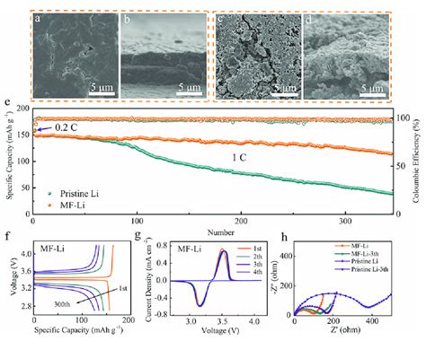 Cycling Performance Of The Mf Li Lfp Cell And The Li Lfp Cell At The