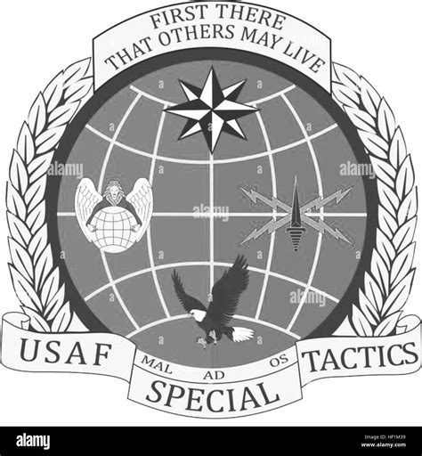 USAF Special Tactics Officer Flash Stock Photo Alamy