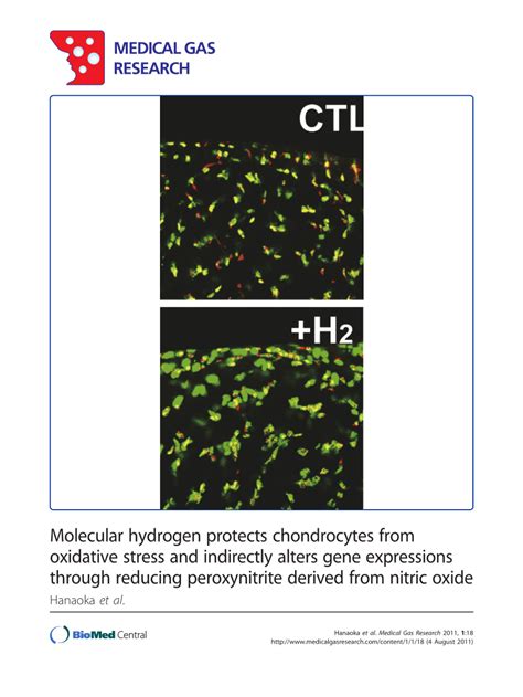 (PDF) Molecular hydrogen protects chondrocytes from oxidative stress ...