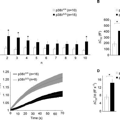 Enhancement Of Exocytosis In P Deficient Pancreatic Cells Occurs