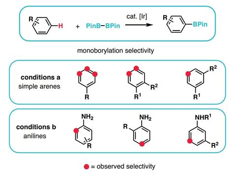 Ch Functionalization