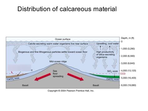 Marine Sediments Diagram | Quizlet