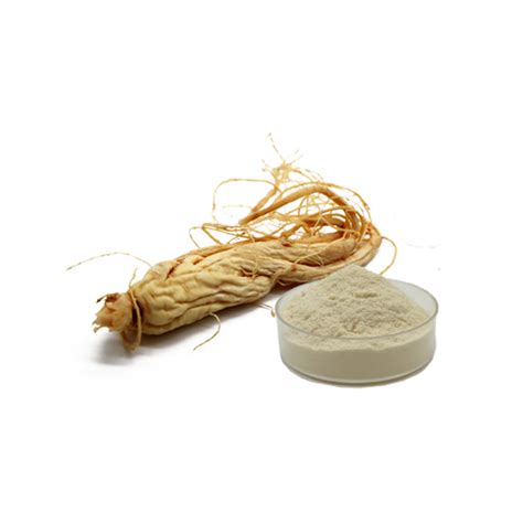 Panax Ginseng Extract HONGJIU BIOTECH - China Professional Natural ...