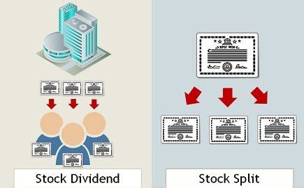 Difference Between Stock Dividend And Stock Split With Comparison