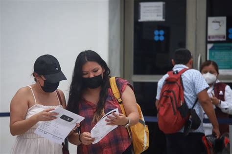 La Jornada Maya Quintana Roo Ana Ramírez Recomienda Anefac