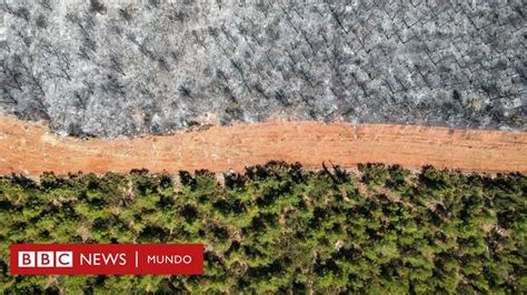 5 Revelaciones Del Preocupante Informe De La Onu Sobre Cambio Climático