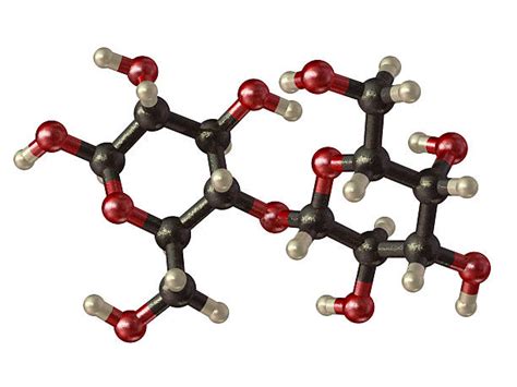 50+ Molecular Structure Of Lactose Stock Photos, Pictures & Royalty ...