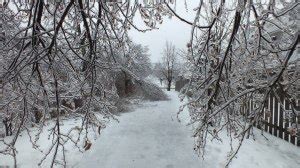 Ice Storm Toronto 2013