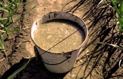 Кроличий навоз как удобрение: для томатов, огурцов и других растений