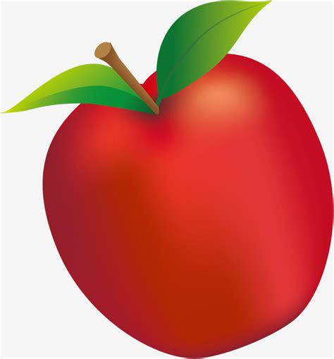 Pintado De Vermelho Ma Fruta Desenho De Ma As Folhas Aquarela Png