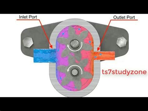 Gear Pump Animation