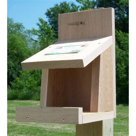 10 Best Robin Bird Houses for Your Garden: Top Picks and Buying Guide ...