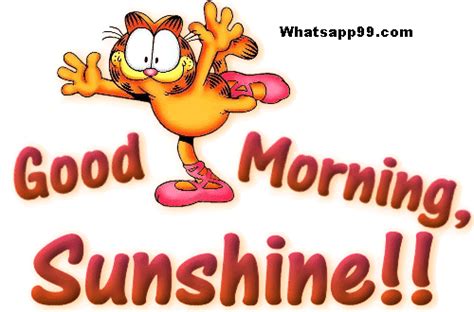 Good Morning Sunshine Cartoon Images - Free Funny Sunshine Cliparts ...