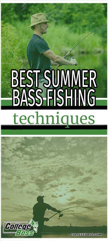 Best Summer Bass Fishing Techniques College Bass