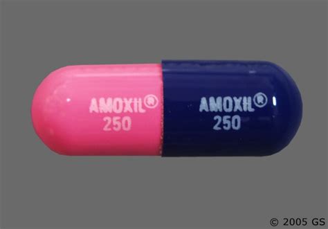 Amoxicillin Oral Capsule Drug Information Side Effects Faqs