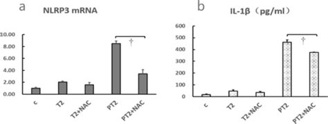 Effect of Ti ions on NLRP3 expression and IL 1β secretion in Jurkat T