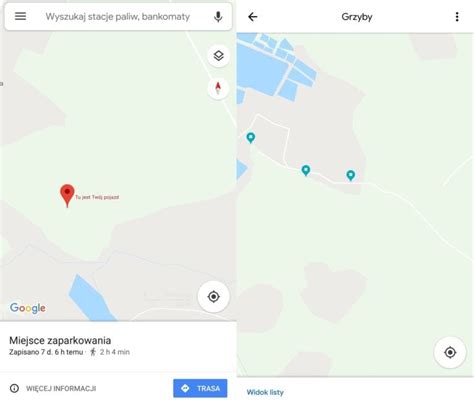 Aplikacje Dla Grzybiarzy Mapa Znajd Samoch D Atlas